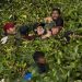 What a border deal collapse means for 2024