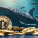Blockchain Data: Bitcoin Whale Activity Surging, Confidence in Bull Market Returning