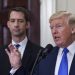 Trump VP short list has new top contender: report