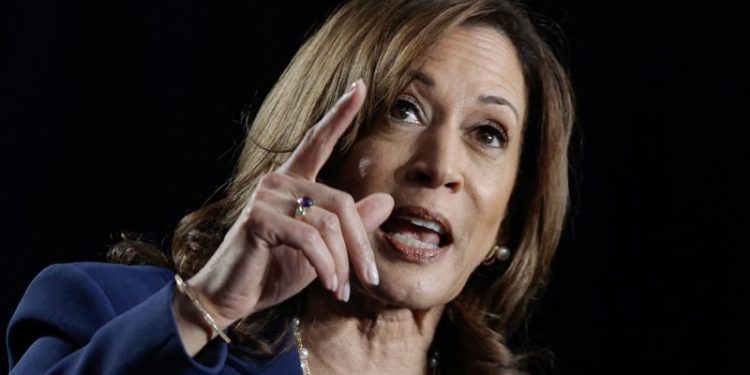Harris to propose federal ban on ‘corporate price-gouging’ in food and groceries