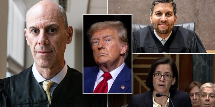 How Trump-blocking judges managed to get past Senate judiciary hawks