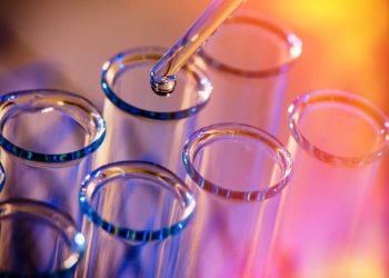 Top 5 Small-cap Biotech Stocks of 2025