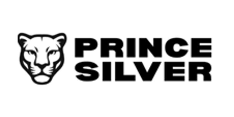 Prince Silver More Than Doubles Land Position at The Prince Silver Project