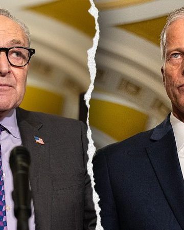 Senate races to avert third shutdown as DHS deal takes shape