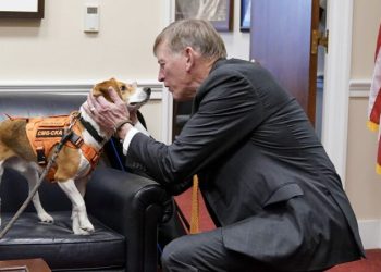 GOP targets transgender animal testing in defund demand to NIH